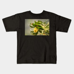 Scaly Breasted Lorikeet, Maleny Queensland Kids T-Shirt